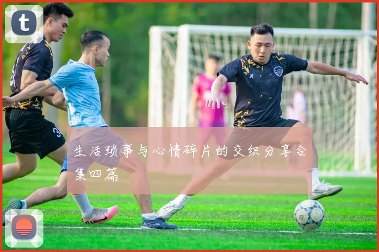 生活琐事与心情碎片的交织分享合集四篇