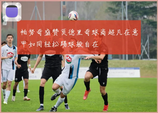 帕努奇盛赞莫德里奇球商超凡在意甲如同轻松踢球般自在