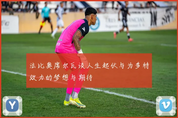 法比奥席尔瓦谈人生起伏与为多特效力的梦想与期待