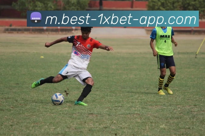 App Interface Preview